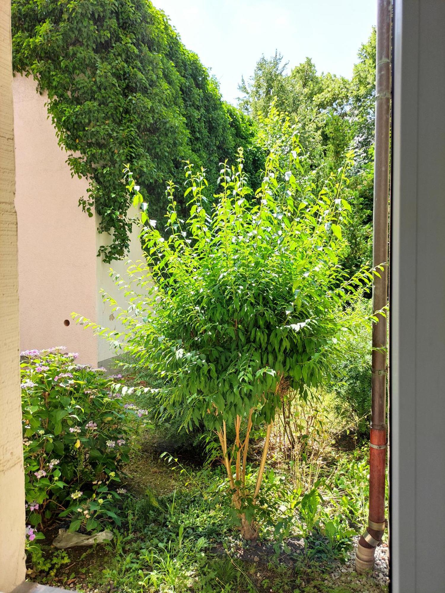 Exklusive Wohnung Mit Kingsize-Bett I 75Qm I Am See I Netflix I Gratis Kaffee & Teeangebot Chemnitz Eksteriør bilde